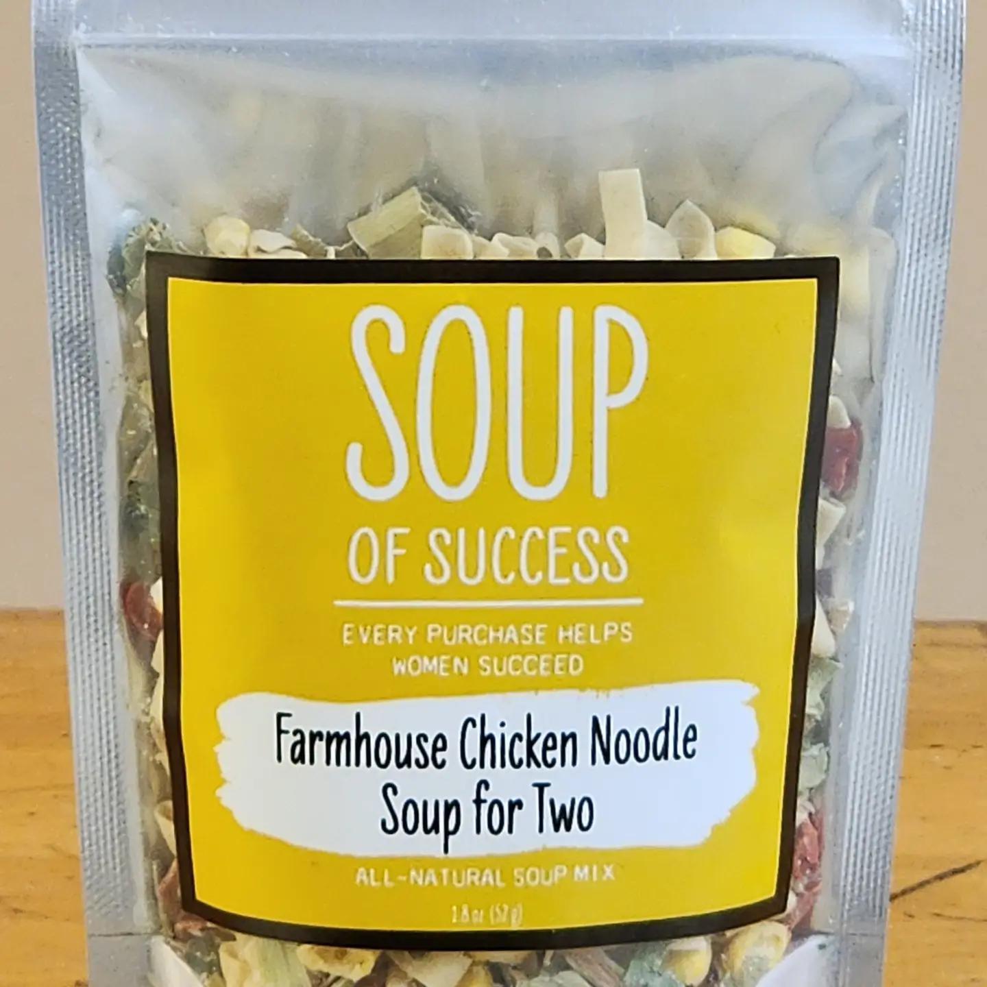 Farmhouse Chicken Noodle Soup For Two