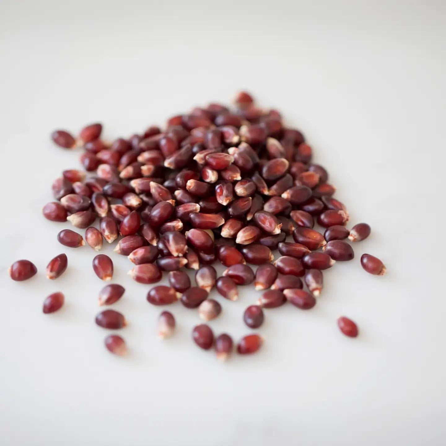 4oz Bag of Hulless Popcorn