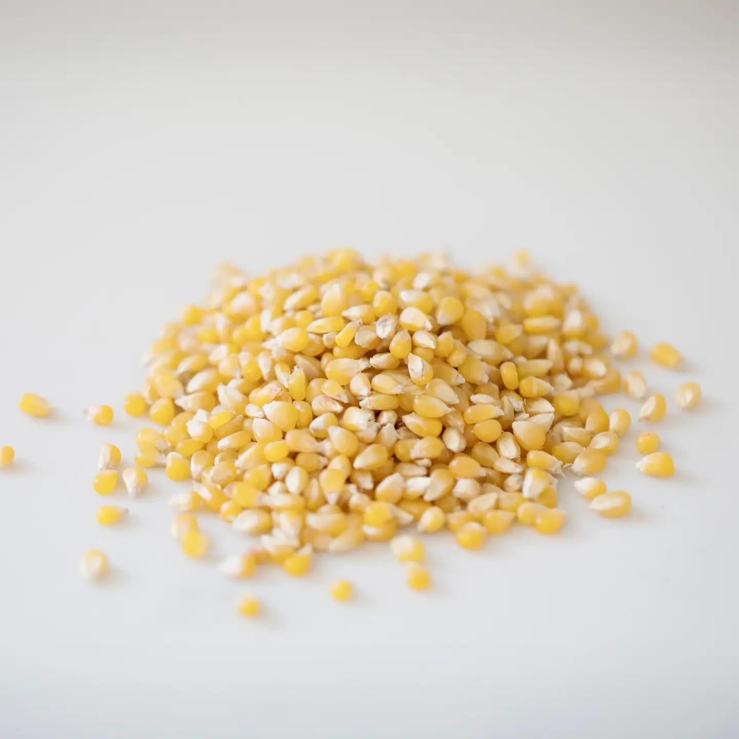 4oz Bag of Hulless Popcorn