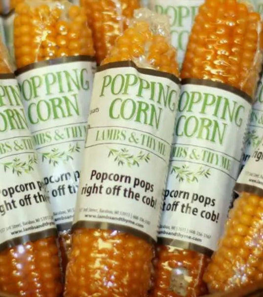 Popping Corn on the Cob