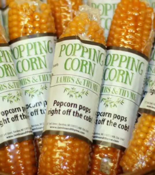 Popping Corn on the Cob
